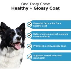 PetHonesty Allergy Skin Health Salmon Flavored Soft Chews Skin & Coat Supplement For Dogs & PetHonesty Skin Health Salmon Salmon Flavored Soft Chews Skin & Coat Supplement For Dogs -Pet Wellness 298396 PT3. AC SS1800 V1676651198