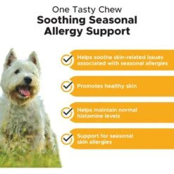 PetHonesty Allergy Skin Health Salmon Flavored Soft Chews Skin & Coat Supplement For Dogs & PetHonesty Skin Health Salmon Salmon Flavored Soft Chews Skin & Coat Supplement For Dogs -Pet Wellness 298396 PT7. AC SS1800 V1676650609