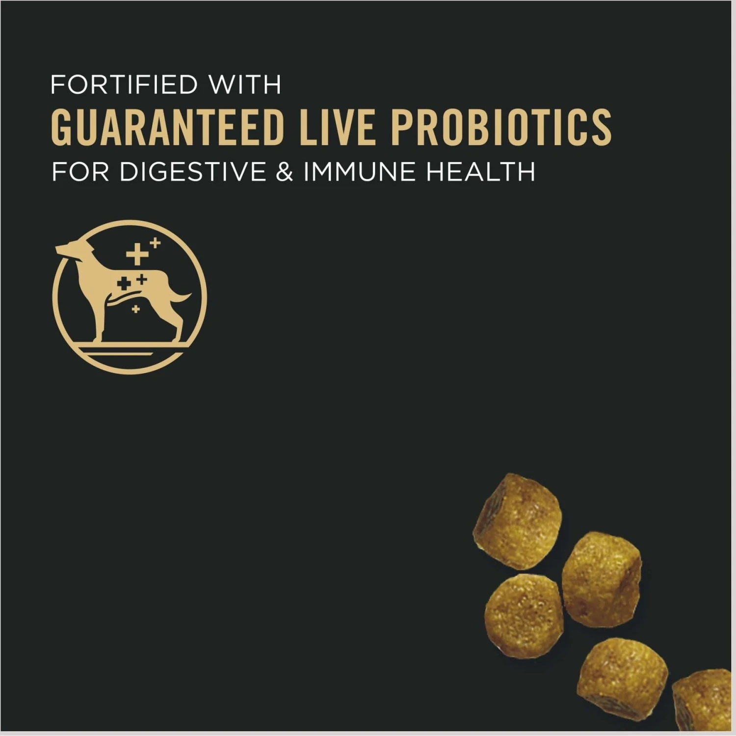 Purina Pro Plan Puppy Toy Breed Chicken & Rice Formula Dry Dog Food & Wellness Soft Puppy Bites Lamb & Salmon Recipe Grain-Free Natural Dog Treats 5 Purina Pro Plan Puppy Toy Breed Chicken & Rice Formula Dry Dog Food & Wellness Soft Puppy Bites Lamb & Salmon Recipe Grain-Free Natural Dog Treats - Image 5