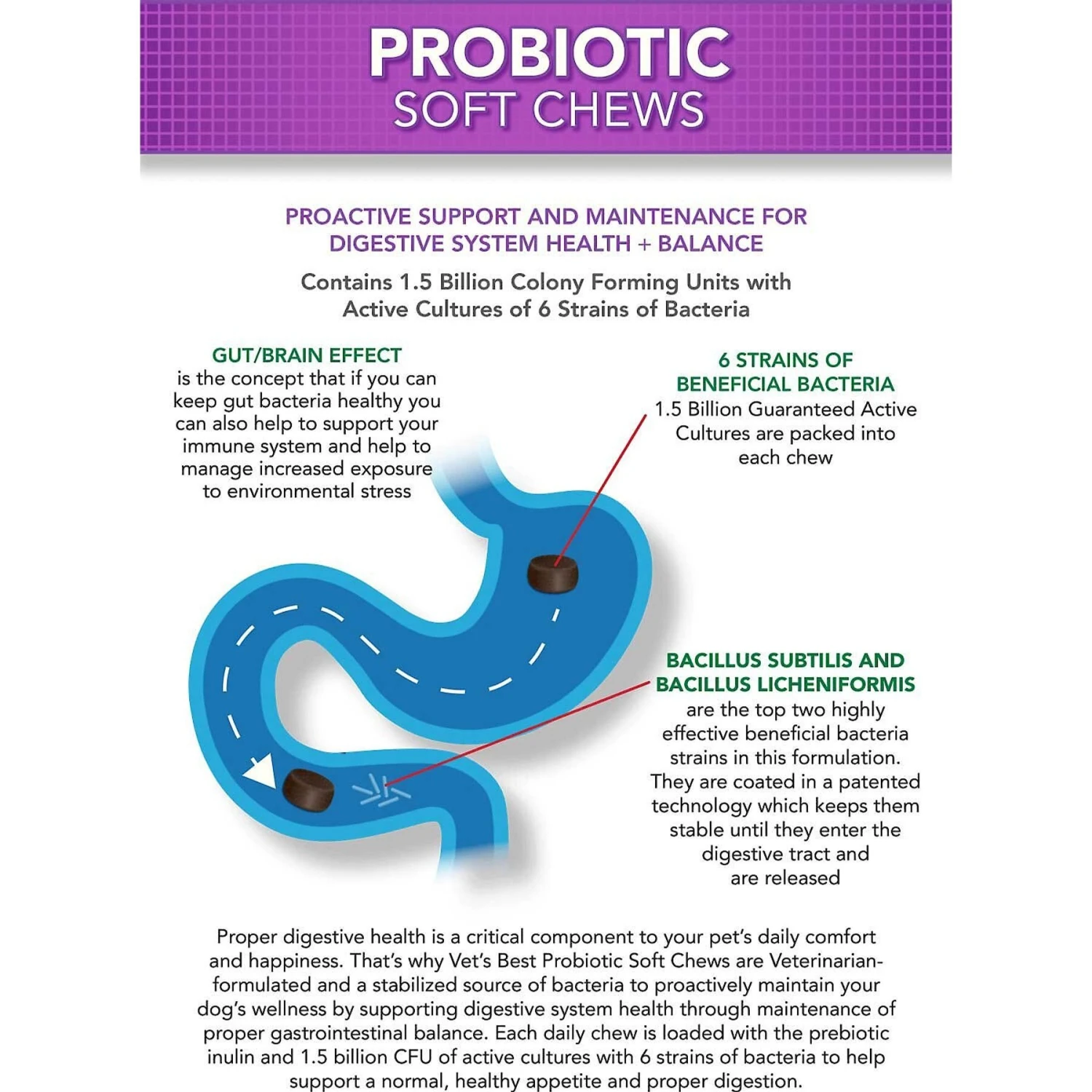 Vet's Best Gas Busters Chewable Tablets Digestive Supplement For Dogs & Vet's Best Probiotic Chicken Flavored Soft Chews Digestive Supplement For Dogs 8 Vet's Best Gas Busters Chewable Tablets Digestive Supplement For Dogs & Vet's Best Probiotic Chicken Flavored Soft Chews Digestive Supplement For Dogs - Image 8