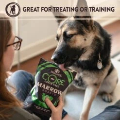 Wellness CORE Grain-Free Reduced Fat Turkey & Chicken Recipe Dry Dog Food & Wellness CORE Healthy Joints Beef Grain-Free Crunchy Dog Treats -Pet Wellness 298706 PT6. AC SS1800 V1621985628