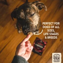 Wellness CORE Grain-Free Reduced Fat Turkey & Chicken Recipe Dry Dog Food & Wellness CORE Healthy Joints Beef Grain-Free Crunchy Dog Treats -Pet Wellness 298706 PT7. AC SS1800 V1621984420