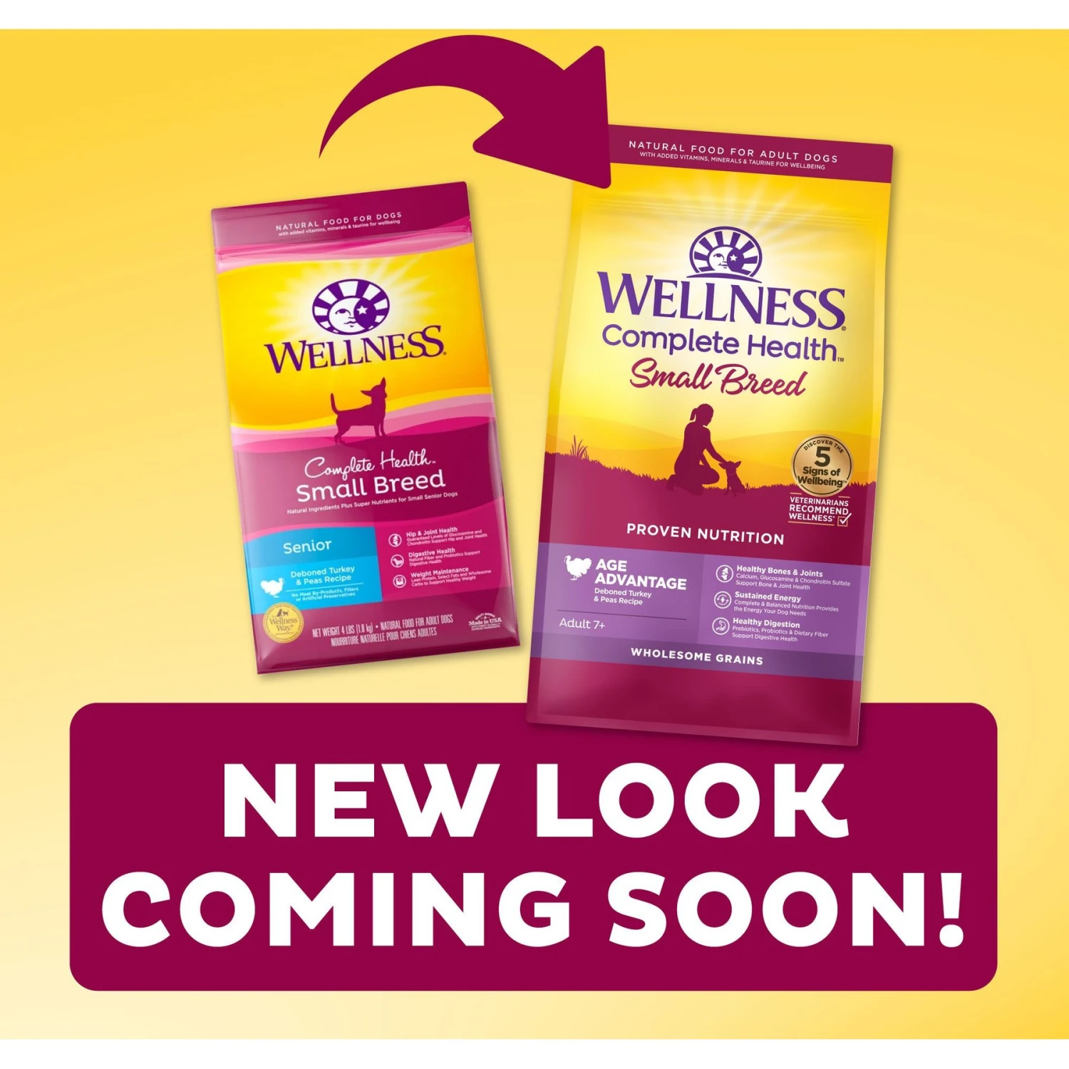Wellness Small Breed Complete Health Senior Deboned Turkey & Peas Recipe Dry Dog Food & Wellness Complete Health Senior Formula Natural Canned Dog Food 7 Wellness Small Breed Complete Health Senior Deboned Turkey & Peas Recipe Dry Dog Food & Wellness Complete Health Senior Formula Natural Canned Dog Food - Image 7