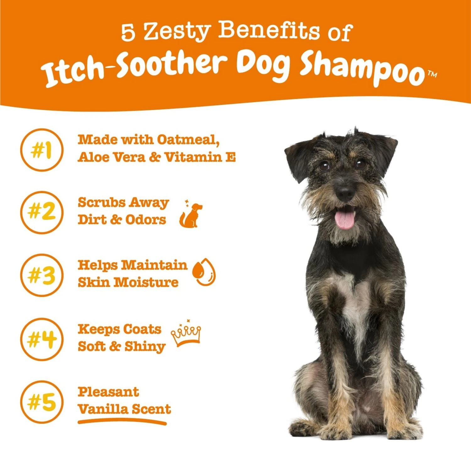 Zesty Paws Itch Soother Dog Shampoo With Oatmeal & Aloe Vera, For Skin Moisture & Shiny Coats & Zesty Paws Wild Alaskan Salmon Oil Liquid Skin & Coat Supplement For Dogs & Cats 4 Zesty Paws Itch Soother Dog Shampoo With Oatmeal & Aloe Vera, For Skin Moisture & Shiny Coats & Zesty Paws Wild Alaskan Salmon Oil Liquid Skin & Coat Supplement For Dogs & Cats - Image 4