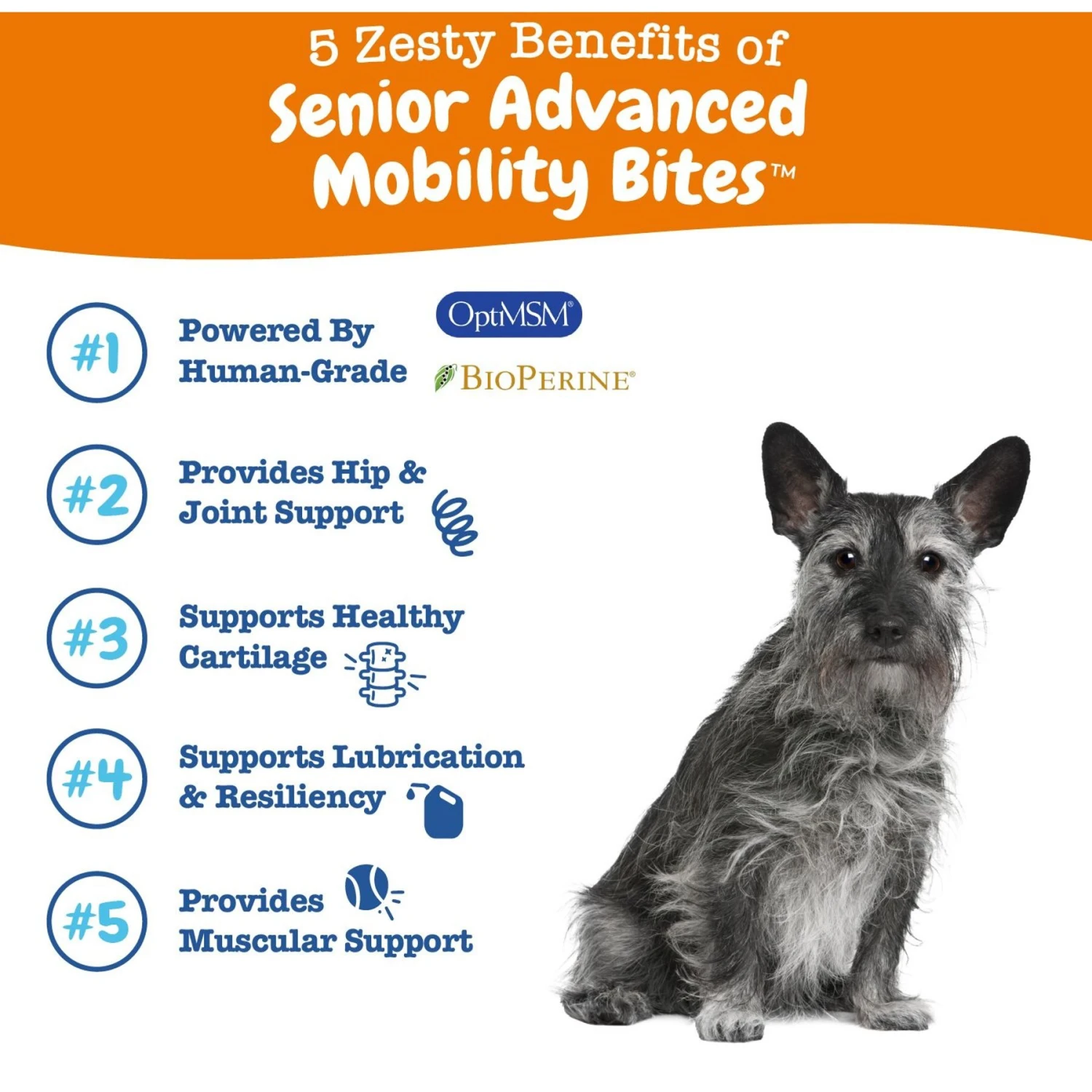 Zesty Paws Advanced Mobility Bites Chicken Flavored Soft Chews Glucosamine Hip & Joint Supplement For Senior Dogs & Zesty Paws Wild Alaskan Salmon Oil Liquid Skin & Coat Supplement For Dogs & Cats 9 Zesty Paws Advanced Mobility Bites Chicken Flavored Soft Chews Glucosamine Hip & Joint Supplement For Senior Dogs & Zesty Paws Wild Alaskan Salmon Oil Liquid Skin & Coat Supplement For Dogs & Cats - Image 9