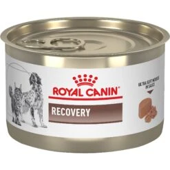 Royal Canin Veterinary Diet Recovery Ultra Soft Mousse In Sauce Wet Dog & Cat Food