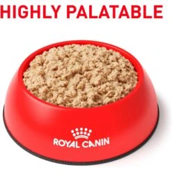 Royal Canin Veterinary Diet Recovery Ultra Soft Mousse In Sauce Wet Dog & Cat Food -Pet Wellness 299281 PT2. AC SS1800 V1684411830