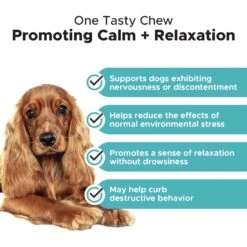 American Journey Protein & Grains Lamb, Brown Rice & Vegetables Recipe Dry Dog Food & PetHonesty Calming Hemp Chicken Flavored Soft Chews Supplement For Dogs -Pet Wellness 301710 PT7. AC SS1800 V1677605354