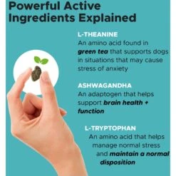 American Journey Protein & Grains Lamb, Brown Rice & Vegetables Recipe Dry Dog Food & PetHonesty Calming Hemp Chicken Flavored Soft Chews Supplement For Dogs -Pet Wellness 301710 PT8. AC SS1800 V1677605379