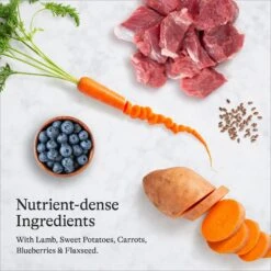 American Journey Puppy Lamb & Sweet Potato Recipe Grain-Free Dry Dog Food & CHI Tearless Puppy Shampoo -Pet Wellness 301754 PT4. AC SS1800 V1694611318