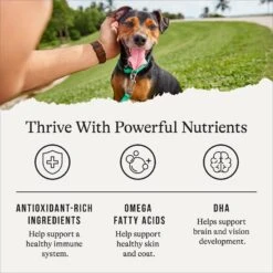 American Journey Puppy Lamb & Sweet Potato Recipe Grain-Free Dry Dog Food & CHI Tearless Puppy Shampoo -Pet Wellness 301754 PT5. AC SS1800 V1694611530