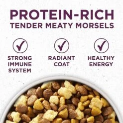 Purina ONE +Plus Natural High Protein Healthy Puppy Formula Dry Puppy Food & Burt's Bees Tearless Puppy Shampoo With Buttermilk For Dogs -Pet Wellness 302040 PT3. AC SS1800 V1622640445