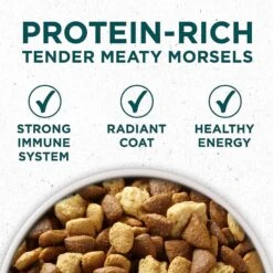 Purina ONE +Plus Natural Large Breed Formula Dry Puppy Food & Burt's Bees Tearless Puppy Shampoo With Buttermilk For Dogs -Pet Wellness 302050 PT3. AC SS1800 V1622832455