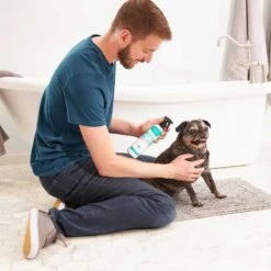 Frisco Aloe Hydrating Dog & Cat Spray, Sweet Nectar Scent & Frisco Oatmeal Dog & Cat Shampoo, Almond Scent 12 Frisco Aloe Hydrating Dog & Cat Spray, Sweet Nectar Scent & Frisco Oatmeal Dog & Cat Shampoo, Almond Scent -Pet Wellness 303372 PT3. AC SS1800 V1623046355