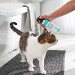 Frisco Aloe Hydrating Dog & Cat Spray, Sweet Nectar Scent & Frisco Oatmeal Dog & Cat Shampoo, Almond Scent 13 Frisco Aloe Hydrating Dog & Cat Spray, Sweet Nectar Scent & Frisco Oatmeal Dog & Cat Shampoo, Almond Scent -Pet Wellness 303372 PT4. AC SS1800 V1623076060