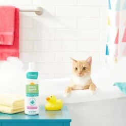 Frisco Aloe Hydrating Dog & Cat Spray, Sweet Nectar Scent & Frisco Oatmeal Dog & Cat Shampoo, Almond Scent 17 Frisco Aloe Hydrating Dog & Cat Spray, Sweet Nectar Scent & Frisco Oatmeal Dog & Cat Shampoo, Almond Scent -Pet Wellness 303372 PT8. AC SS1800 V1623070966