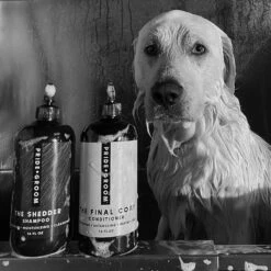 Pride+Groom The Sensitive One Dog Shampoo, 16-oz Bottle & Pride+Groom The Final Coat Dog Conditioner, 16-oz Bottle -Pet Wellness 303716 PT6. AC SS1800 V1623083555