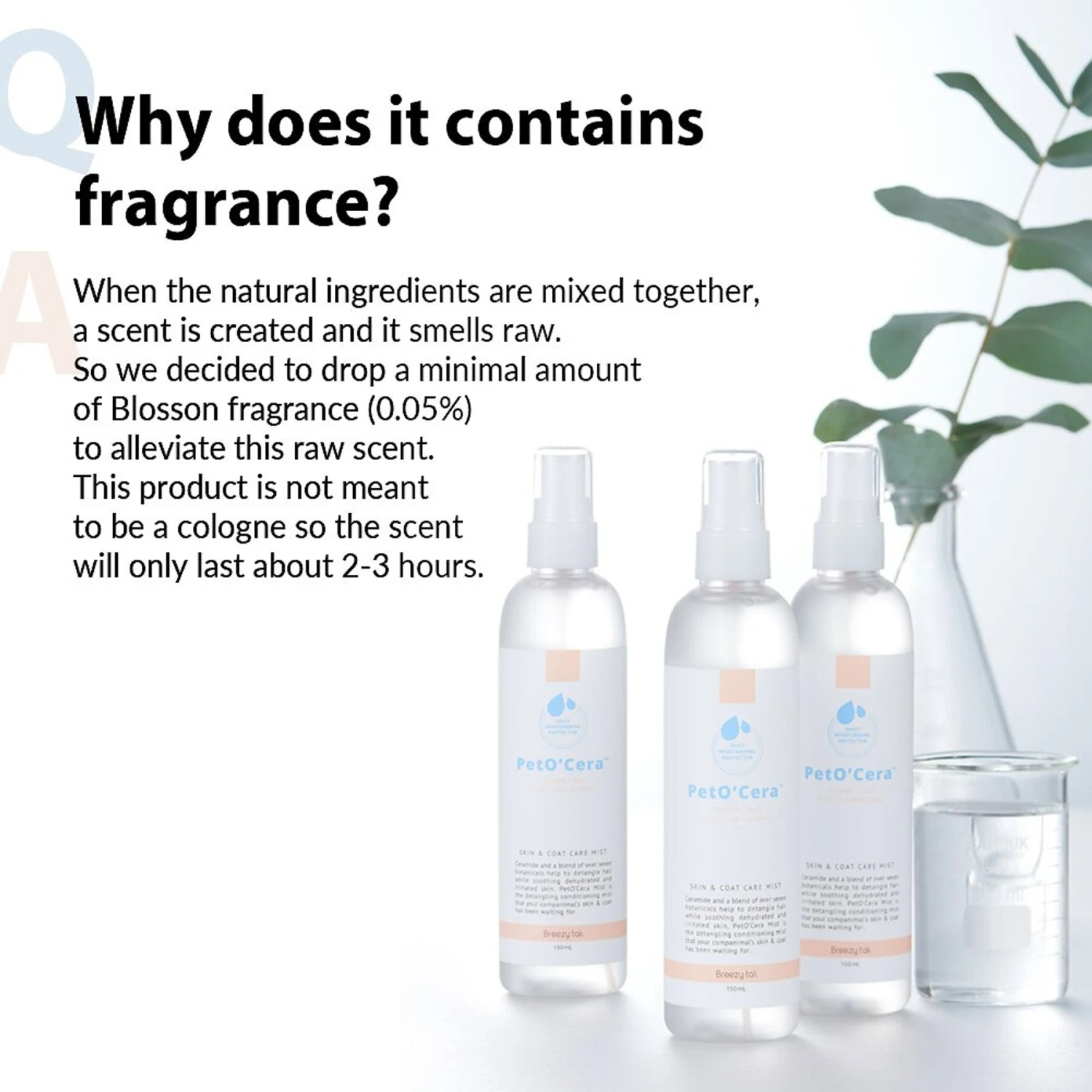 PetO'Cera Cermide Mist Dog & Cat Detangling Spray, 5.07-oz Bottle 4 PetO'Cera Cermide Mist Dog & Cat Detangling Spray, 5.07-oz Bottle - Image 4