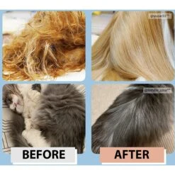 PetO'Cera Cermide Mist Dog & Cat Detangling Spray, 5.07-oz Bottle 9 PetO'Cera Cermide Mist Dog & Cat Detangling Spray, 5.07-oz Bottle -Pet Wellness 304900 PT4. AC SS1800 V1626386551