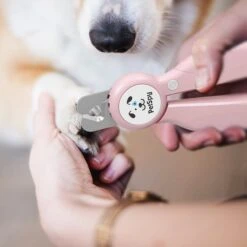 PetSpy LED Dog & Cat Nail Clipper -Pet Wellness 305078 PT3. AC SS1800 V1622848361