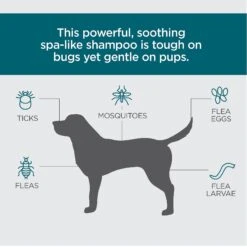 TevraPet Activate II Flea & Tick Dog Shampoo, 12-oz Bottle 9 TevraPet Activate II Flea & Tick Dog Shampoo, 12-oz Bottle -Pet Wellness 306649 PT2. AC SS1800 V1623364351