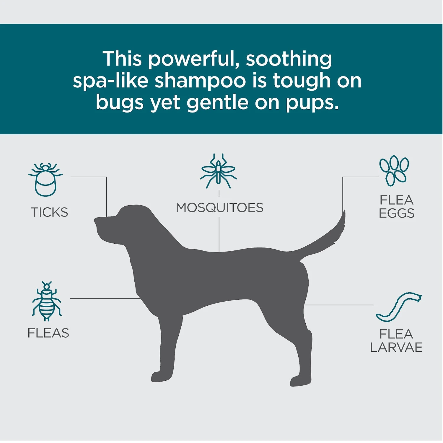 TevraPet Activate II Flea & Tick Dog Shampoo, 12-oz Bottle 3 TevraPet Activate II Flea & Tick Dog Shampoo, 12-oz Bottle - Image 3