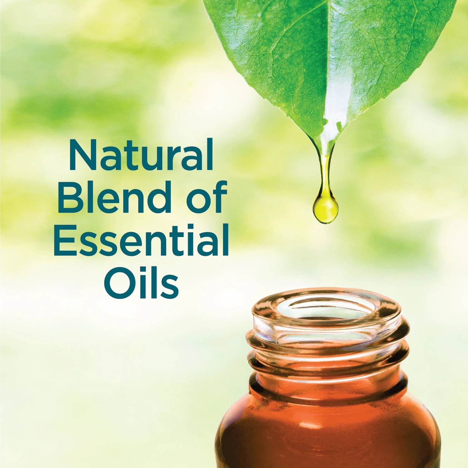 TevraPet Activate II Flea & Tick Dog Shampoo, 12-oz Bottle 4 TevraPet Activate II Flea & Tick Dog Shampoo, 12-oz Bottle - Image 4