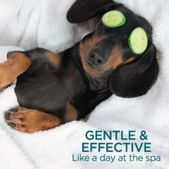 TevraPet Activate II Flea & Tick Dog Shampoo, 12-oz Bottle 12 TevraPet Activate II Flea & Tick Dog Shampoo, 12-oz Bottle -Pet Wellness 306649 PT5. AC SS1800 V1623367118