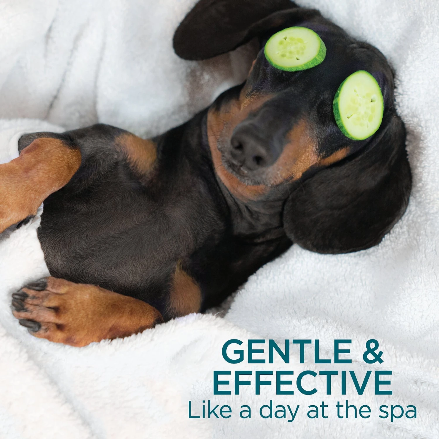 TevraPet Activate II Flea & Tick Dog Shampoo, 12-oz Bottle 6 TevraPet Activate II Flea & Tick Dog Shampoo, 12-oz Bottle - Image 6