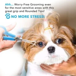 Boshel Dog Grooming Scissors Set 11 Boshel Dog Grooming Scissors Set -Pet Wellness 309503 PT3. AC SS1800 V1624497193