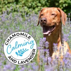 Shed Defender Silky Smooth Aloe & Shea Butter Dog & Cat Conditioner, 16-oz Bottle 10 Shed Defender Silky Smooth Aloe & Shea Butter Dog & Cat Conditioner, 16-oz Bottle -Pet Wellness 310185 PT4. AC SS1800 V1624915680