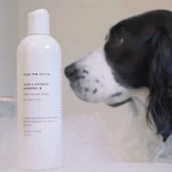 Maxbone Aloe & Oatmeal Dog Shampoo, 12-oz Bottle -Pet Wellness 311099 PT5. AC SS1800 V1648676019