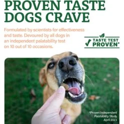 Doggie Dailies Salmon Omega Chews Dog Supplement, 1-lb Bottle -Pet Wellness 313865 PT2. AC SS1800 V1626390154