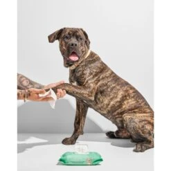 Wild One Dog Grooming Wipes, 70 Count -Pet Wellness 314769 PT4. AC SS1800 V1674660330