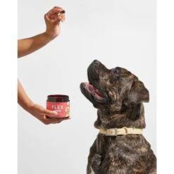 Wild One Flex Hip & Joint Support Soft Chew Dog Supplement, 120 Count 14 Wild One Flex Hip & Joint Support Soft Chew Dog Supplement, 120 Count -Pet Wellness 314790 PT6. AC SS1800 V1637074032