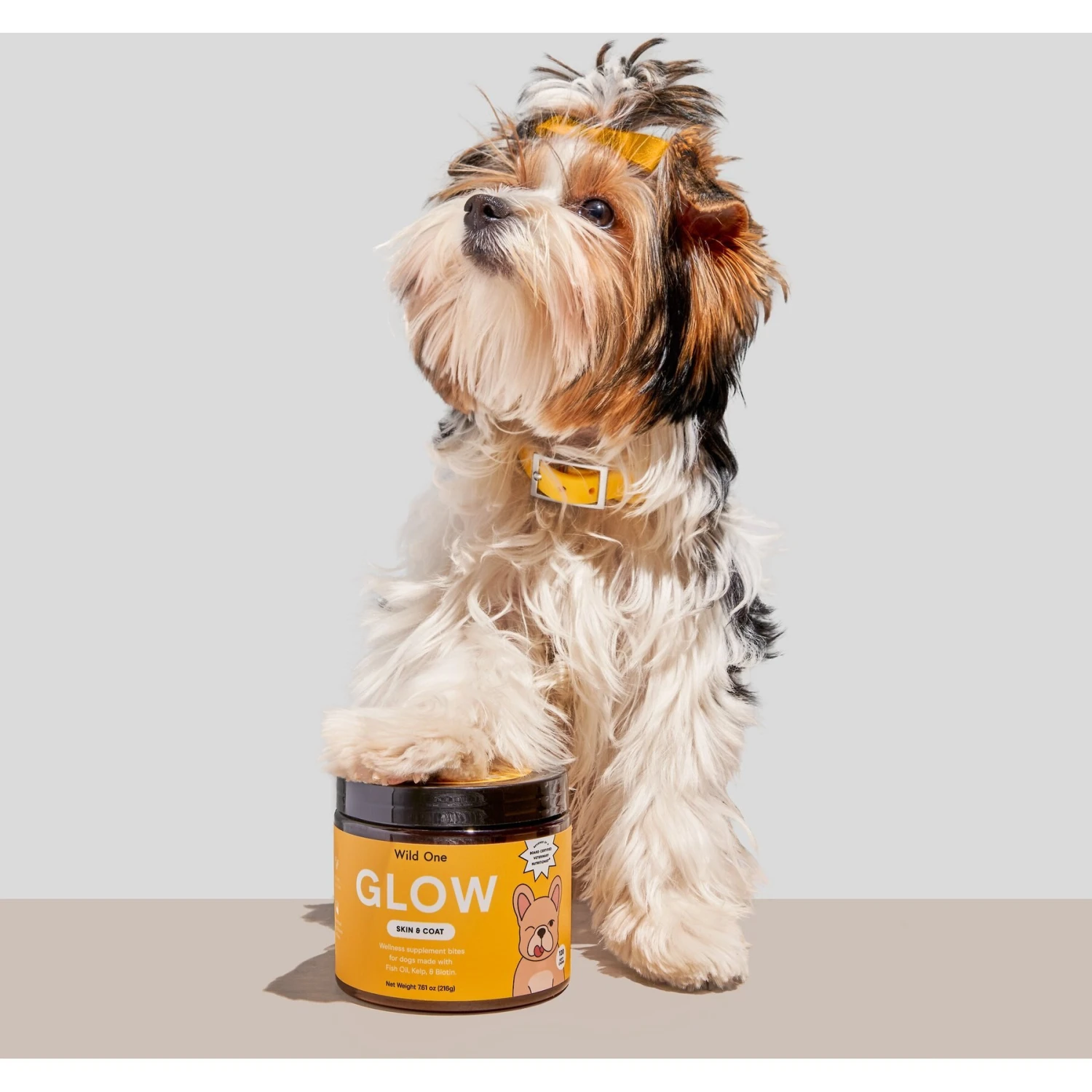 Wild One Glow Skin & Coat Support Soft Chew Dog Supplement, 120 Count 7 Wild One Glow Skin & Coat Support Soft Chew Dog Supplement, 120 Count - Image 7