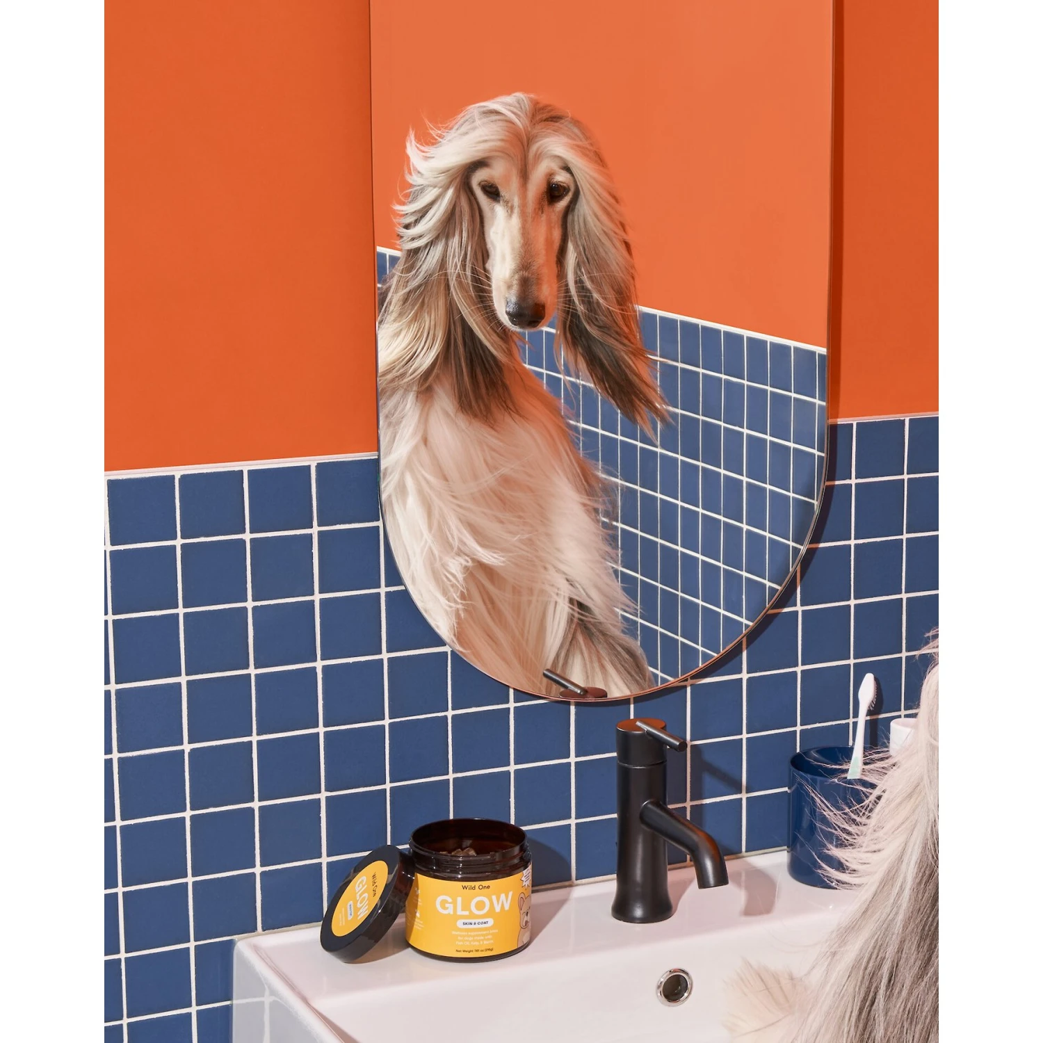 Wild One Glow Skin & Coat Support Soft Chew Dog Supplement, 120 Count 9 Wild One Glow Skin & Coat Support Soft Chew Dog Supplement, 120 Count - Image 9