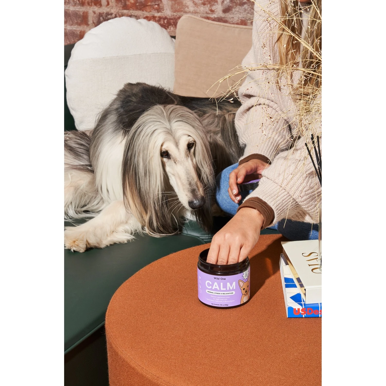 Wild One Calm Stress & Relaxation Support Soft Chew Dog Supplement, 120 Count 8 Wild One Calm Stress & Relaxation Support Soft Chew Dog Supplement, 120 Count - Image 8