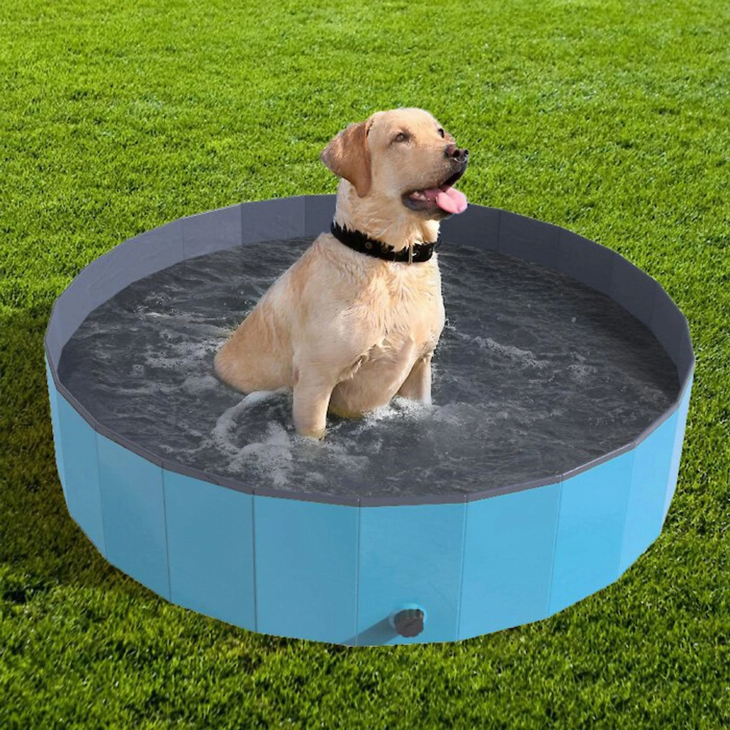 Pet Adobe Foldable Dog Pool 1 Pet Adobe Foldable Dog Pool