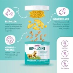 Health Extension Joint Mobility Powder Dog Supplement 12 Health Extension Joint Mobility Powder Dog Supplement -Pet Wellness 315213 PT5. AC SS1800 V1678381050