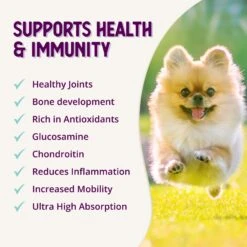 Health Extension Joint Mobility Powder Dog Supplement 13 Health Extension Joint Mobility Powder Dog Supplement -Pet Wellness 315213 PT6. AC SS1800 V1678461844
