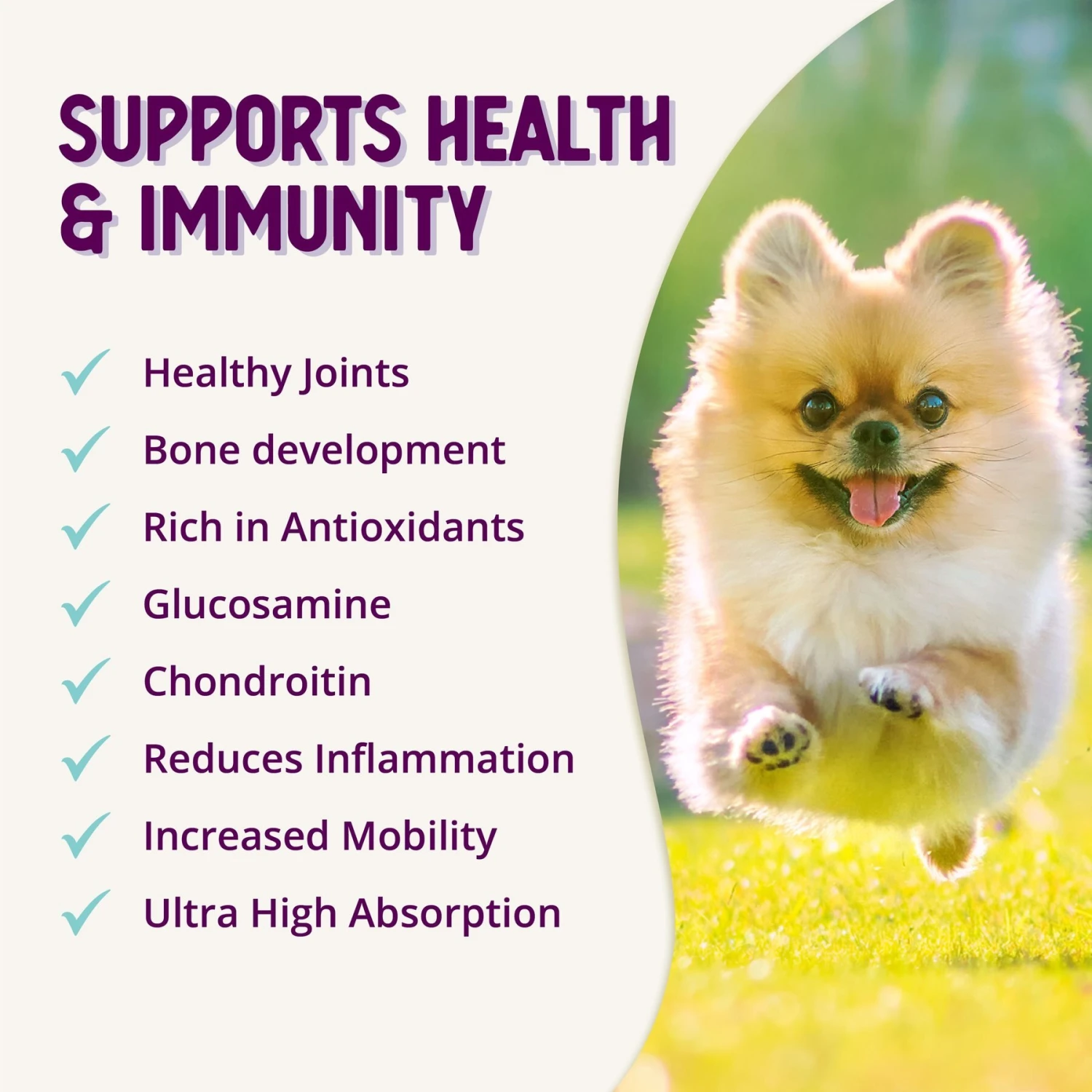 Health Extension Joint Mobility Powder Dog Supplement 7 Health Extension Joint Mobility Powder Dog Supplement - Image 7
