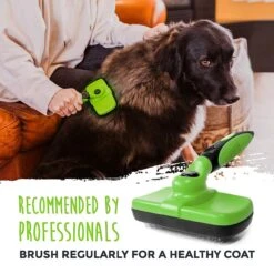 Mighty Paw Dog Grooming Brush -Pet Wellness 315230 PT2. AC SS1800 V1626470483