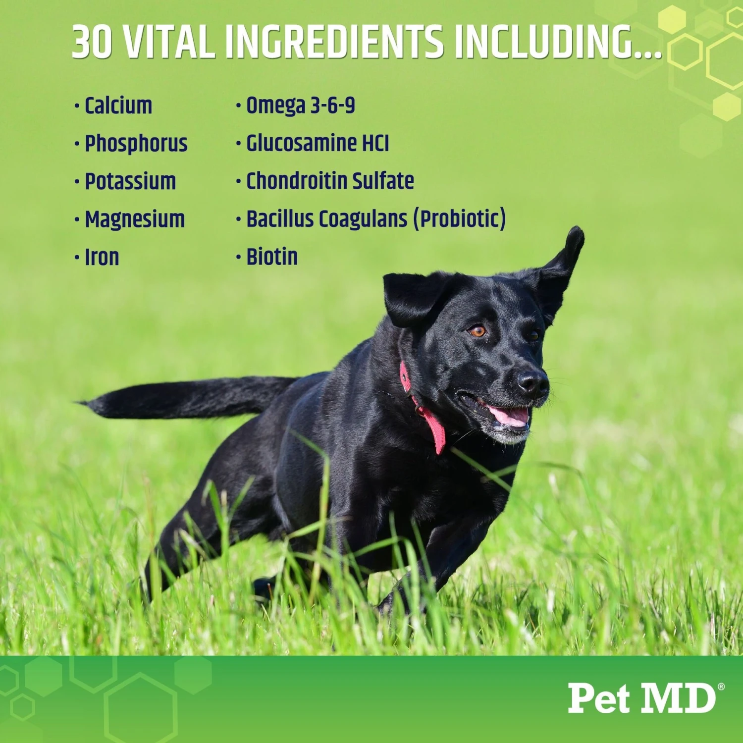 Pet MD 5-in-1 Multivitamin Chews Dog Supplement, 120 Count 4 Pet MD 5-in-1 Multivitamin Chews Dog Supplement, 120 Count - Image 4