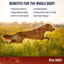 Pet MD Gut Support & Joint Health Bone Broth Powder Dog Supplement, 4-oz Jar -Pet Wellness 315265 PT2. AC SS1800 V1659887008