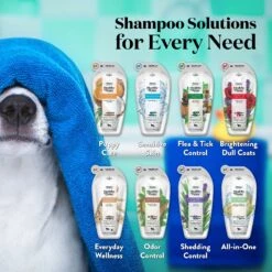 Wahl Clipper Odor Stop Green Tea & Mint Dog Shampoo, 16-oz Bottle -Pet Wellness 315538 PT4. AC SS1800 V1636148809