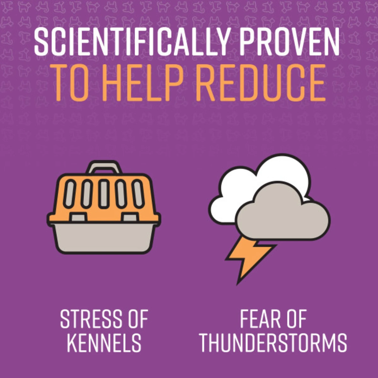 Sentry Good Behavior Chicken Flavored Soft Chew Calming Supplement For Dog 4 Sentry Good Behavior Chicken Flavored Soft Chew Calming Supplement For Dog - Image 4