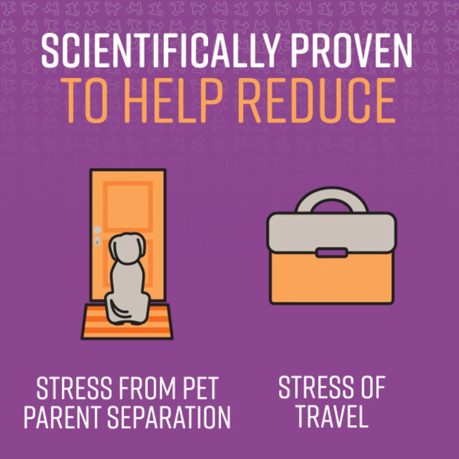 Sentry Good Behavior Chicken Flavored Soft Chew Calming Supplement For Dog 5 Sentry Good Behavior Chicken Flavored Soft Chew Calming Supplement For Dog - Image 5