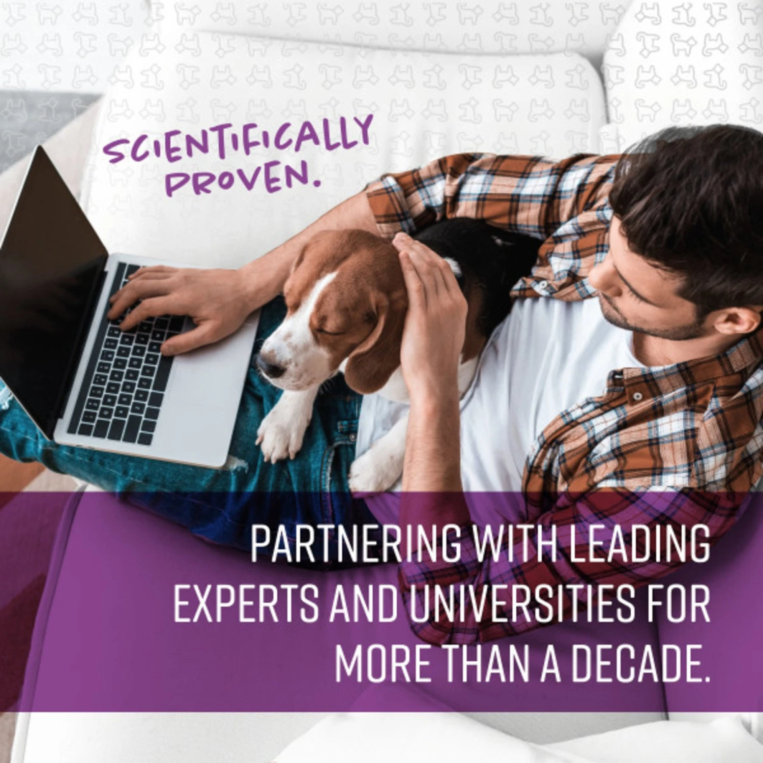 Sentry Good Behavior Chicken Flavored Soft Chew Calming Supplement For Dog 7 Sentry Good Behavior Chicken Flavored Soft Chew Calming Supplement For Dog - Image 7