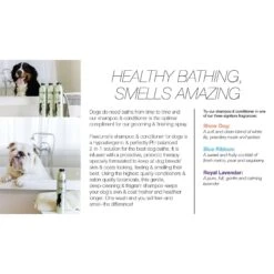 Pawfume Premium Lavender Dog Shampoo & Conditioner, 12-oz Bottle -Pet Wellness 316236 PT4. AC SS1800 V1627681573